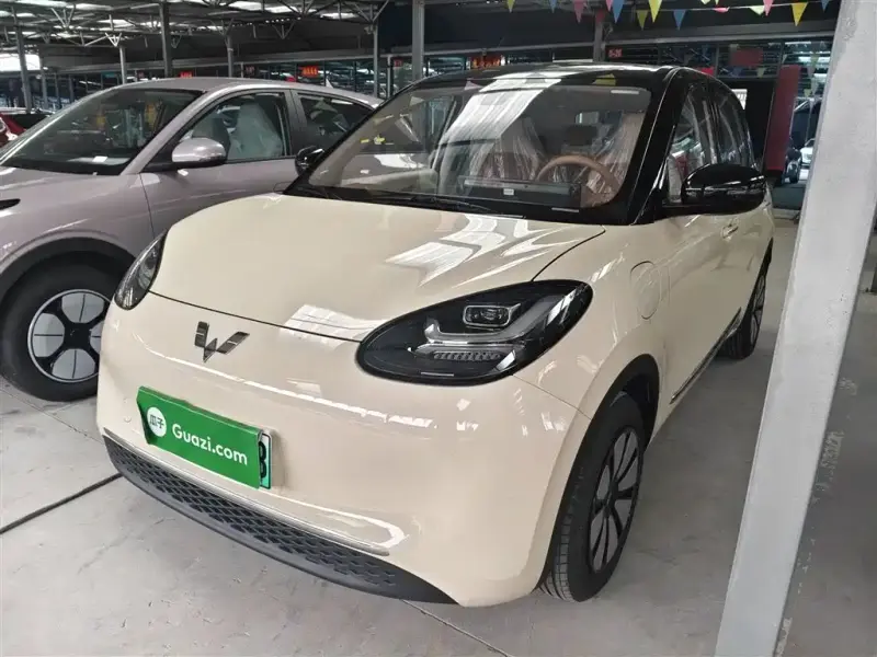 Wuling Bingo