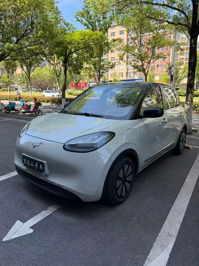 Wuling Bingo