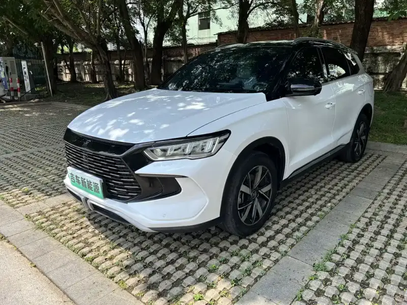 BYD Pro New Energy