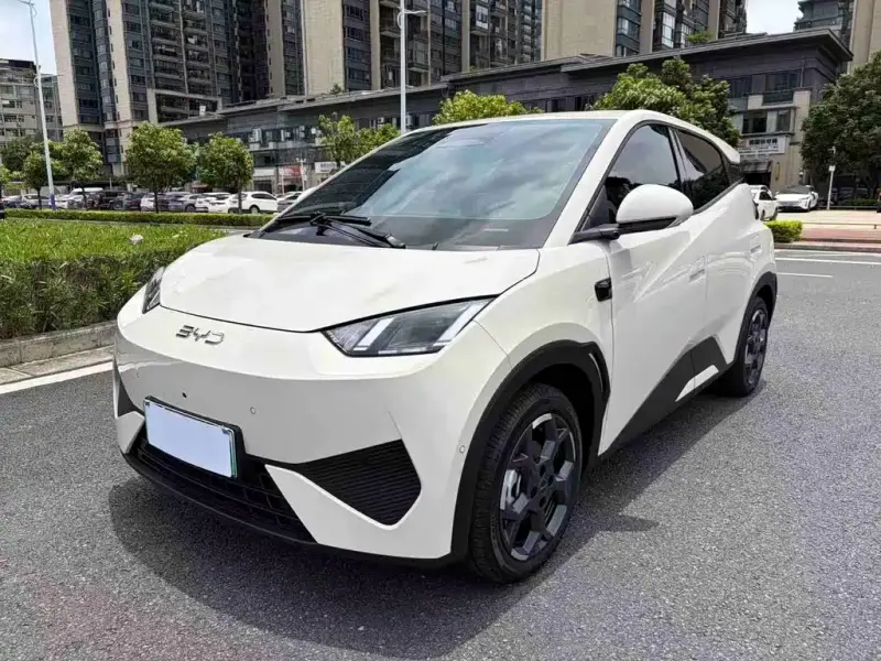 BYD Seagull