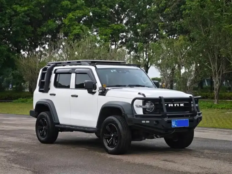 Tank 300