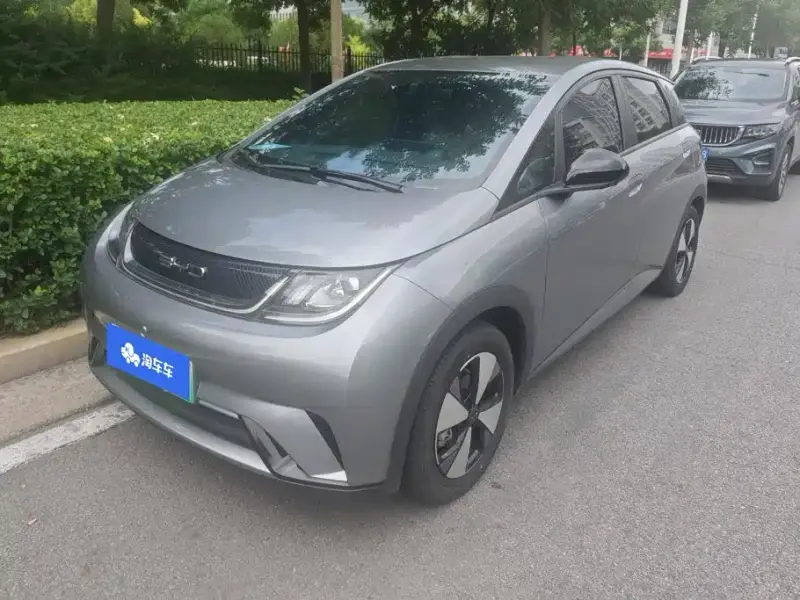 BYD Dolphin