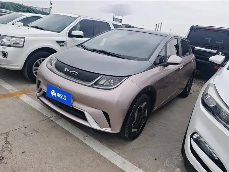BYD Dolphin