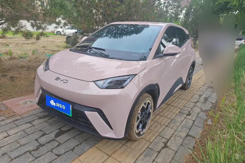 BYD Seagull