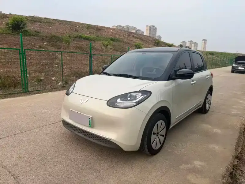 Wuling Bingo