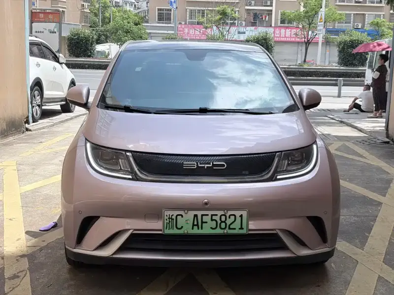 BYD Dolphin