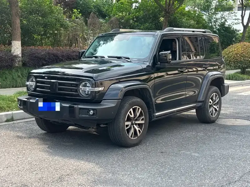 Tank 300