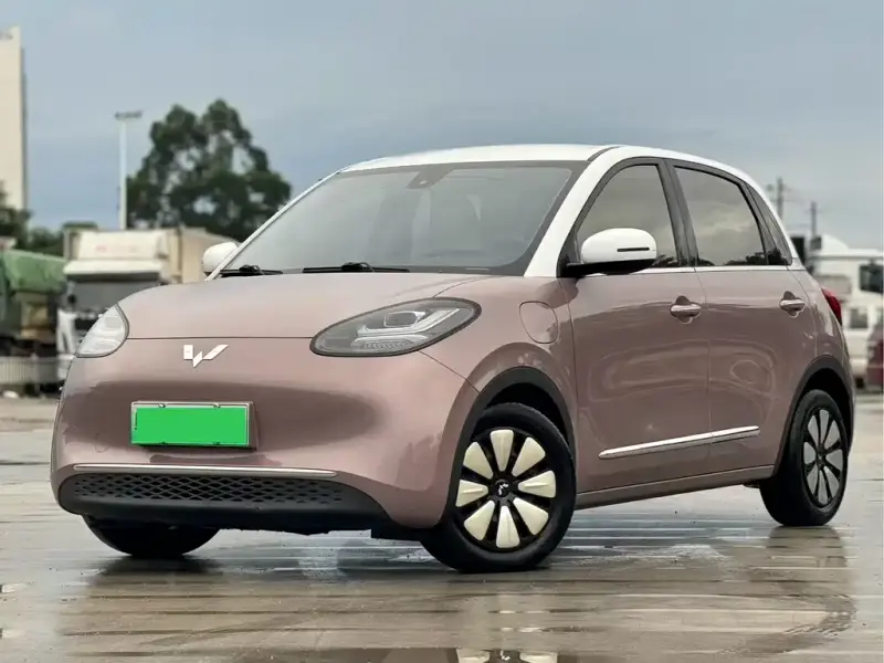 Wuling Bingo