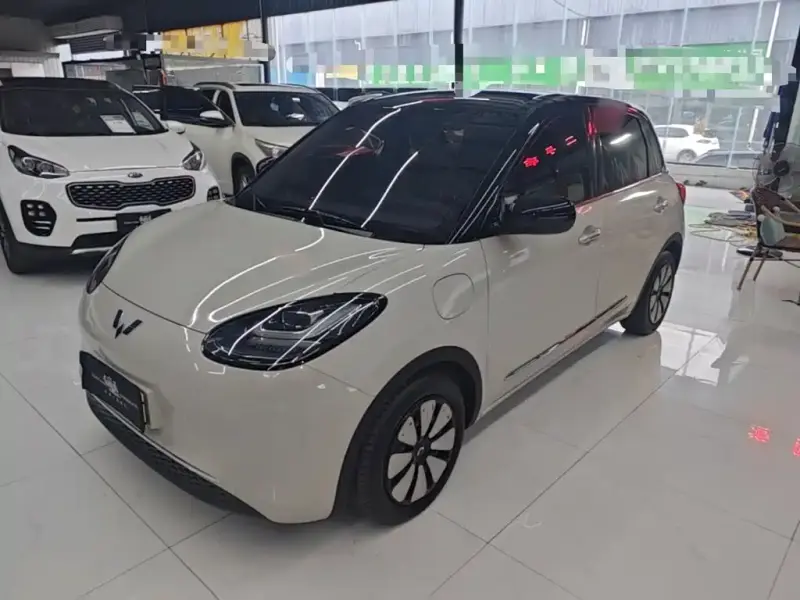Wuling Bingo