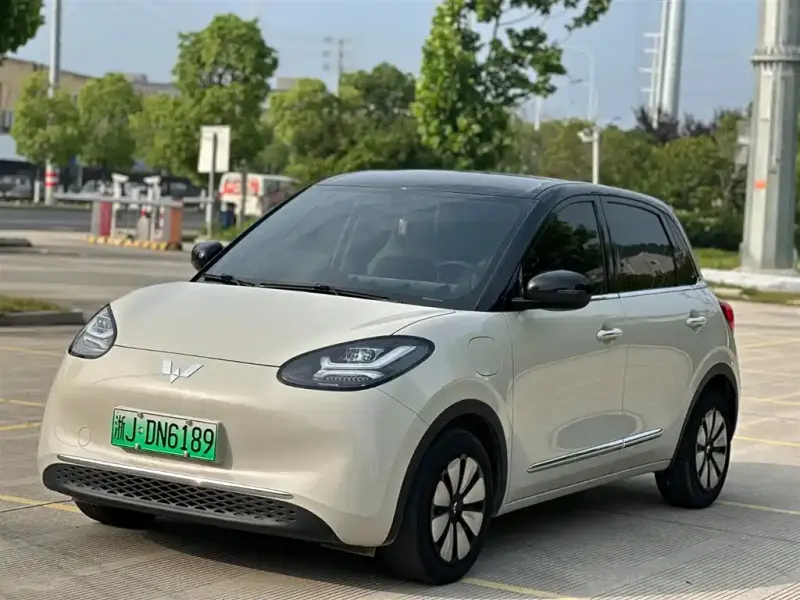 Wuling Bingo