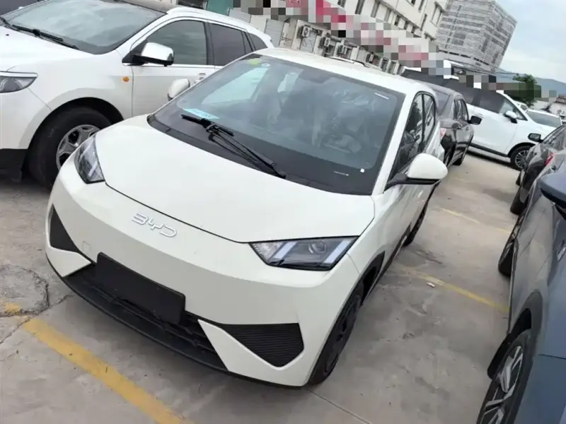 BYD Seagull