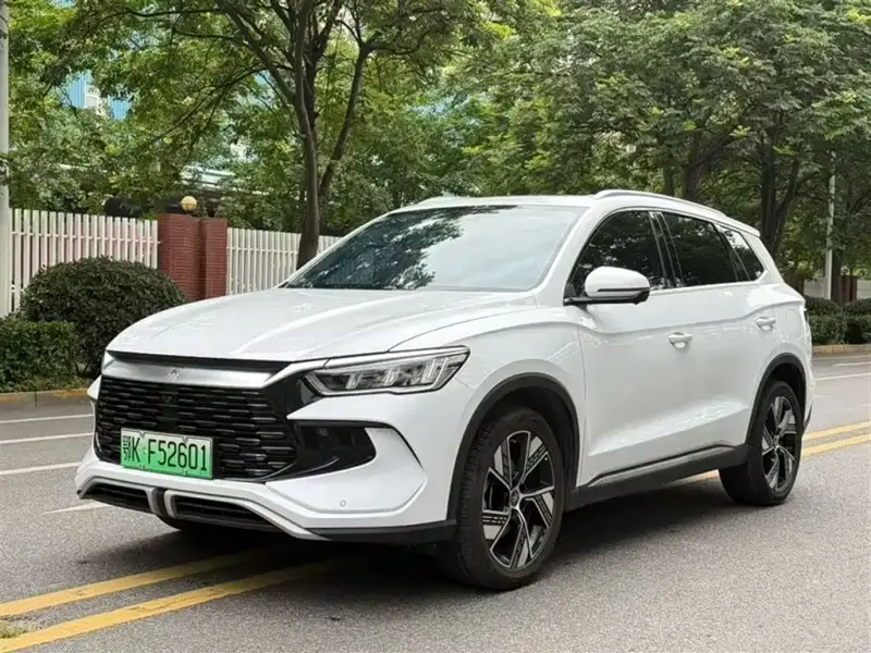 BYD Pro New Energy