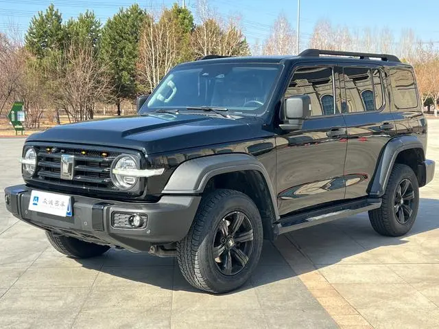 Tank 300