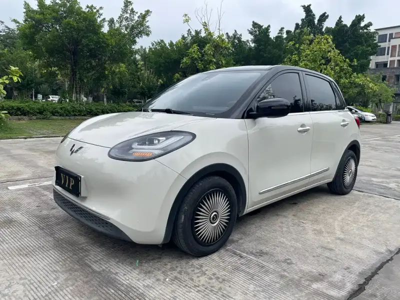 Wuling Bingo