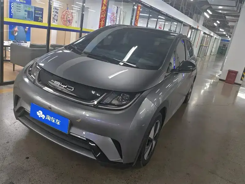 BYD Dolphin