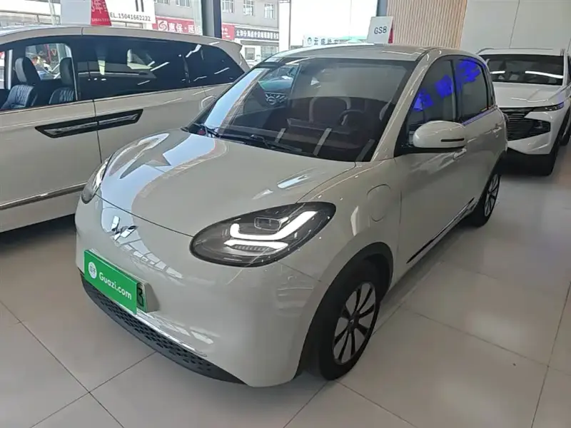 Wuling Bingo
