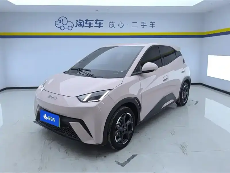 BYD Seagull