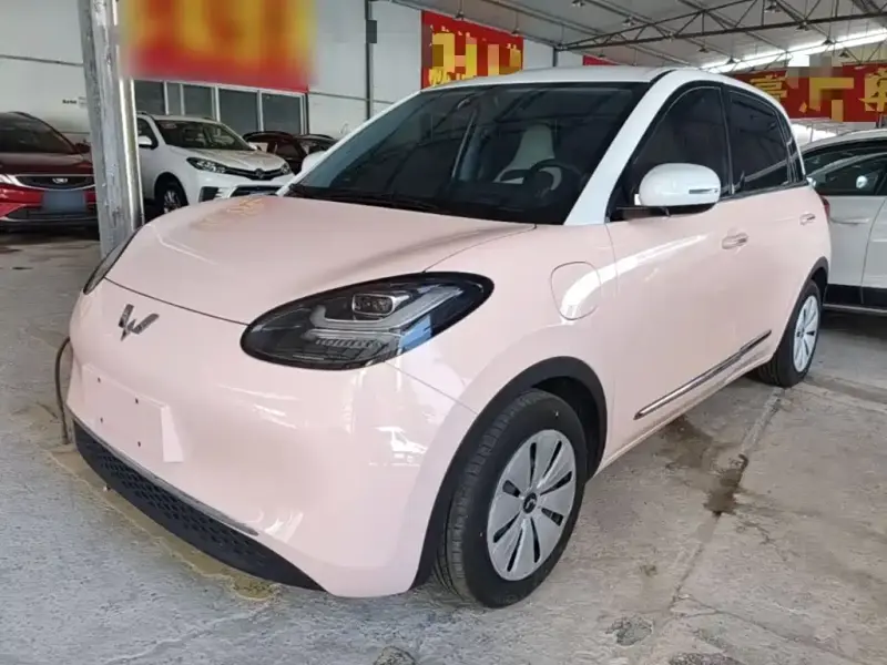 Wuling Bingo