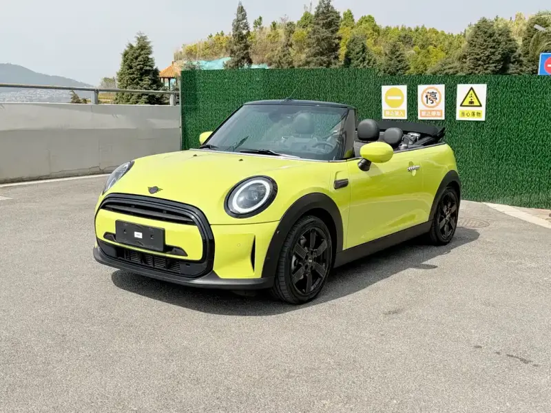 MINI Mini