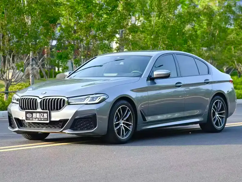 BMW 5 Series (Import)