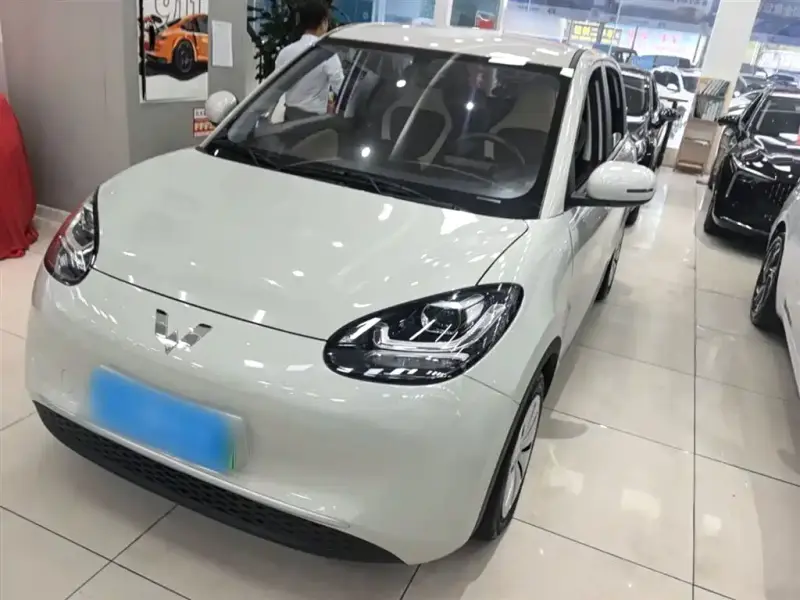Wuling Bingo