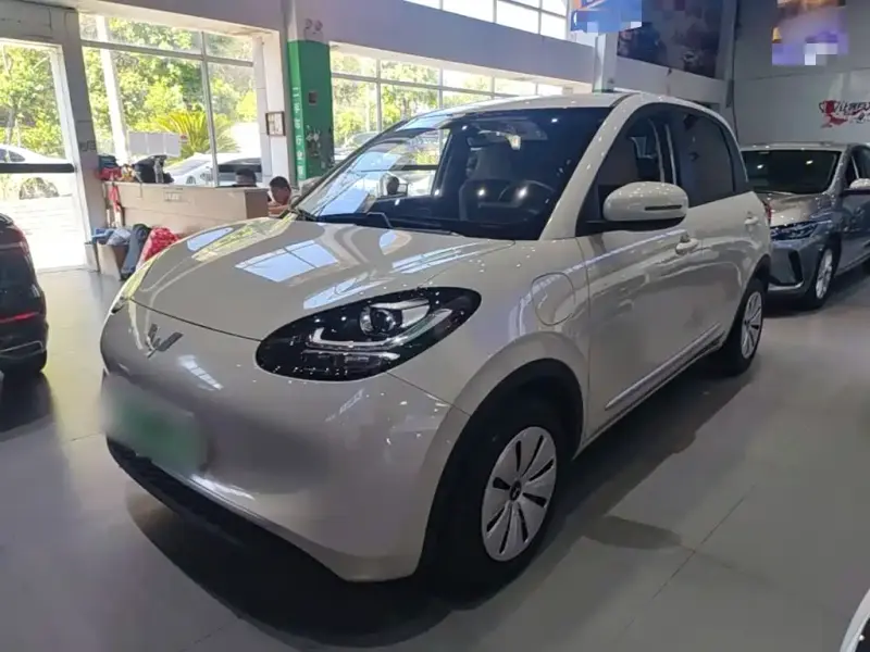 Wuling Bingo