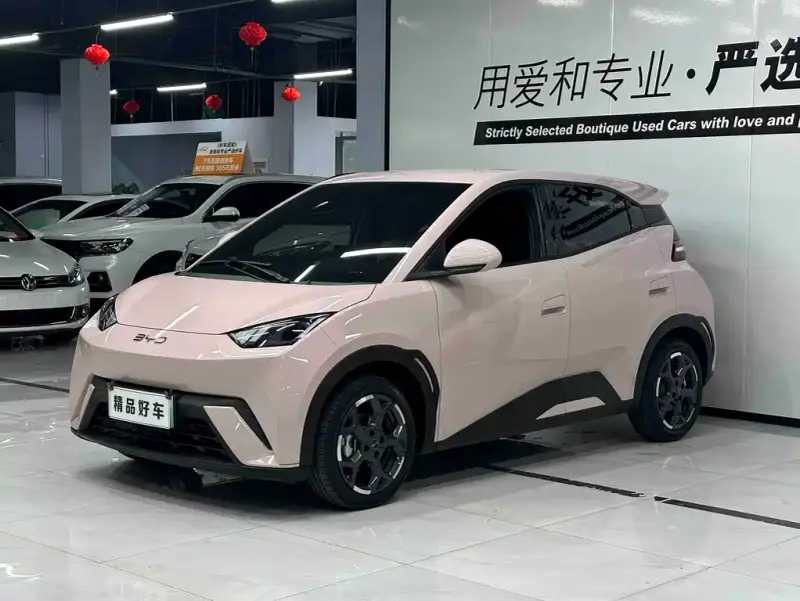 BYD Seagull
