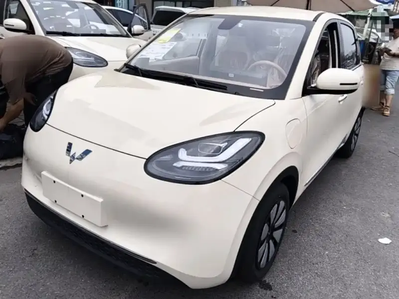 Wuling Bingo