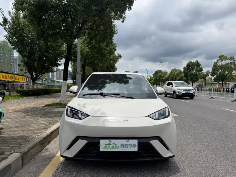 BYD Seagull