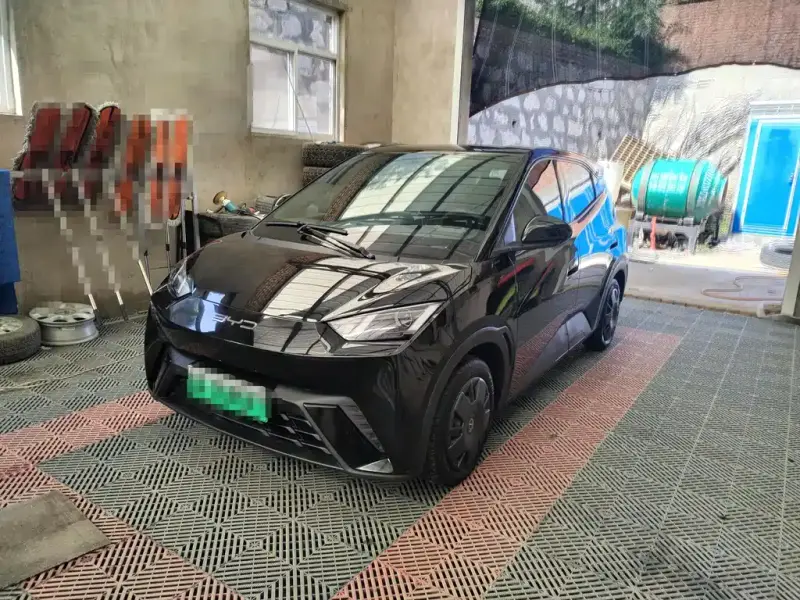 BYD Seagull