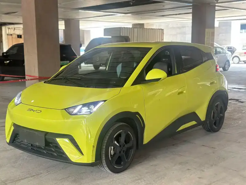 BYD Seagull