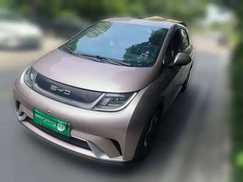 BYD Dolphin