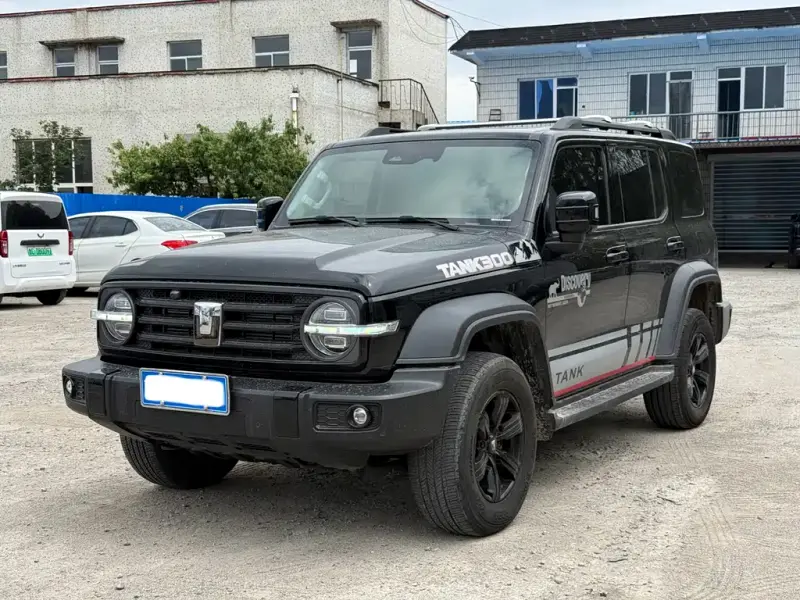 Tank 300