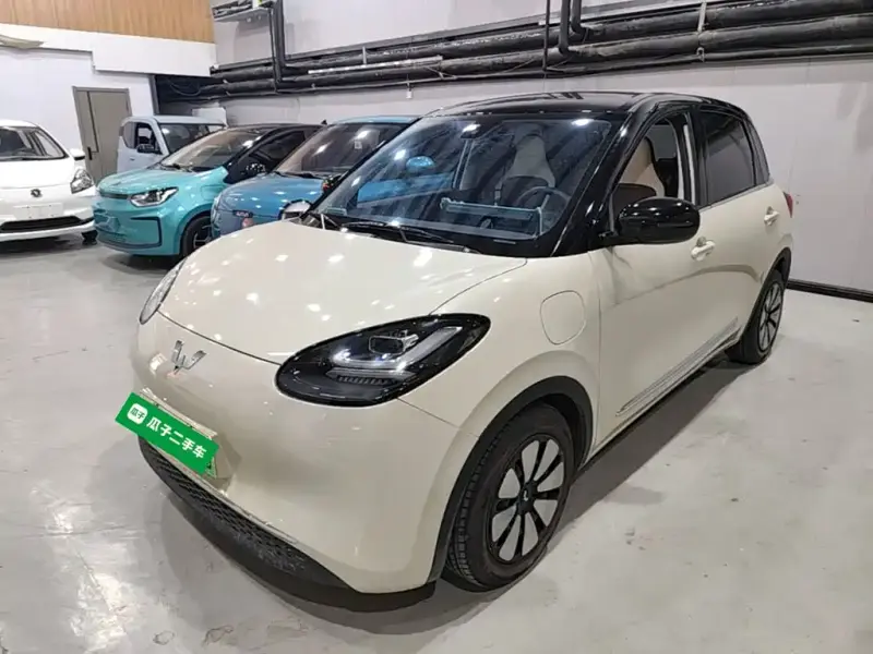 Wuling Bingo