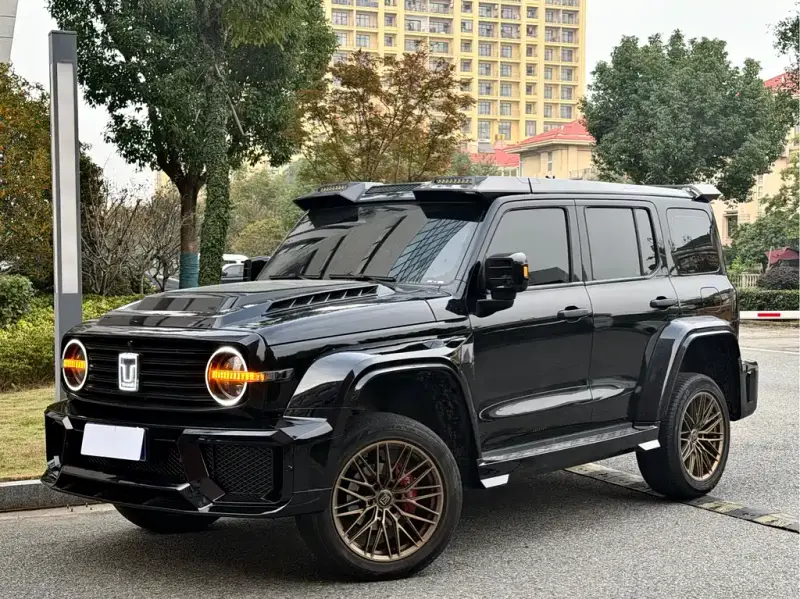 Tank 300