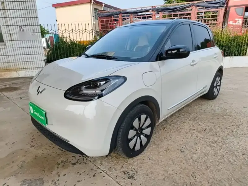 Wuling Bingo