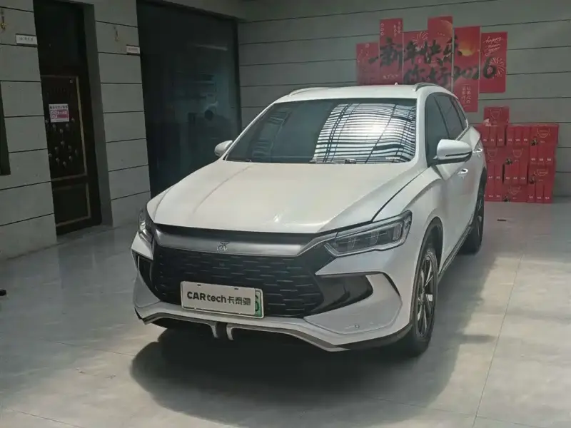 BYD Pro New Energy