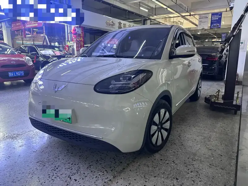 Wuling Bingo