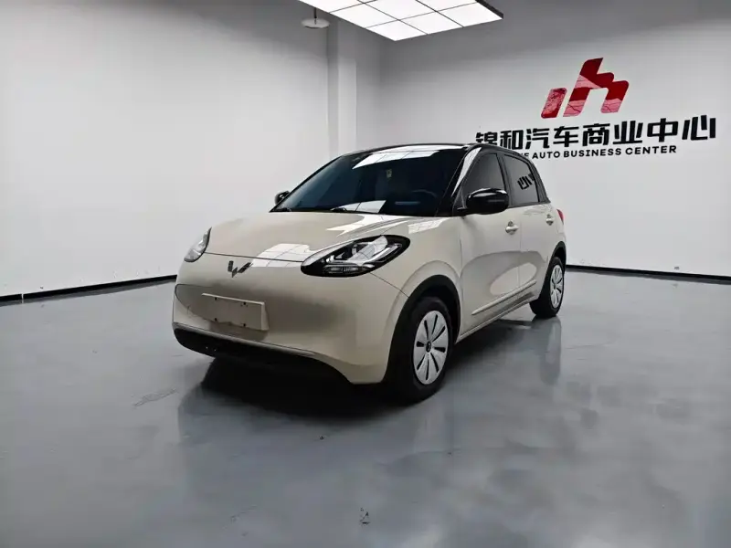 Wuling Bingo