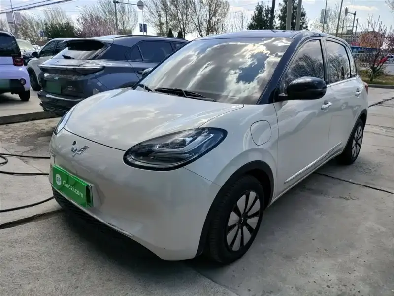 Wuling Bingo