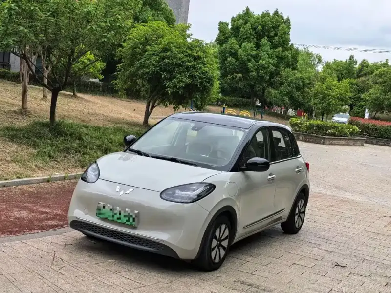 Wuling Bingo