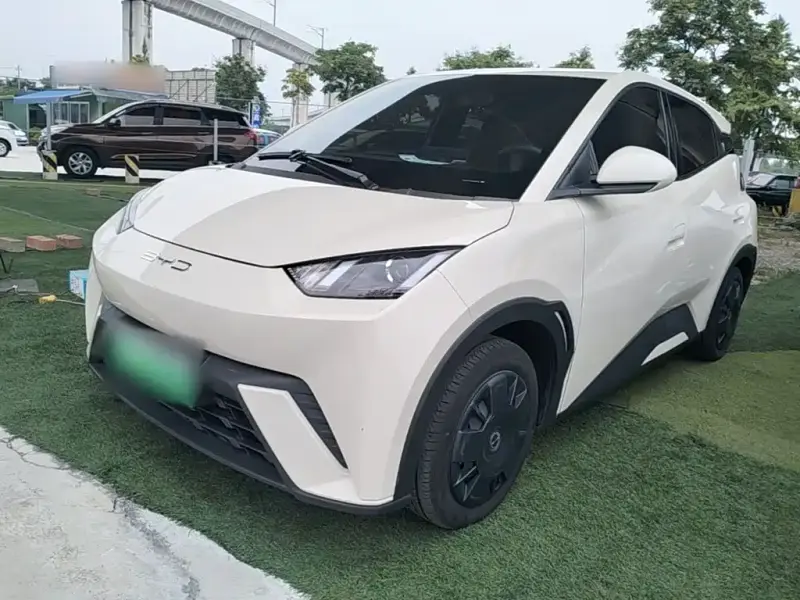 BYD Seagull