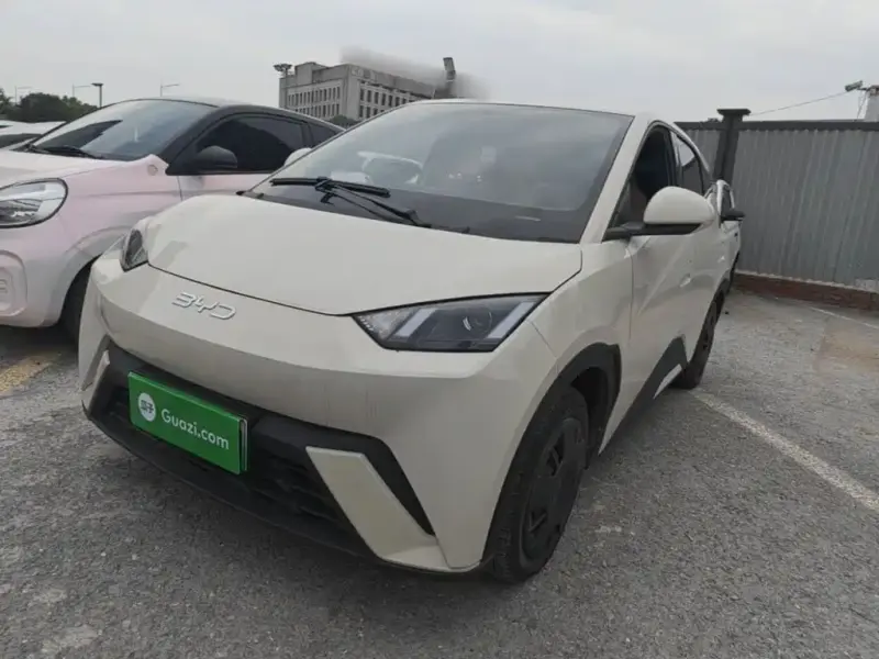 BYD Seagull