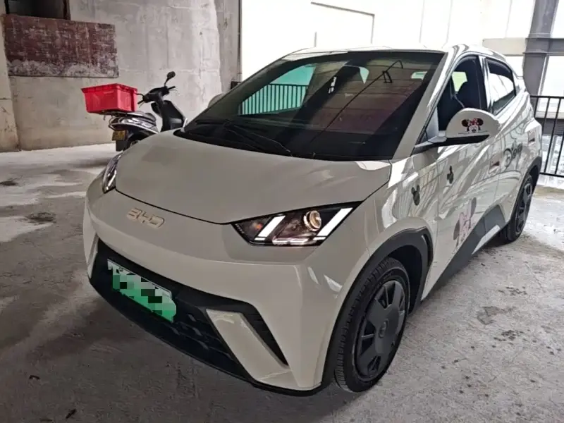 BYD Seagull