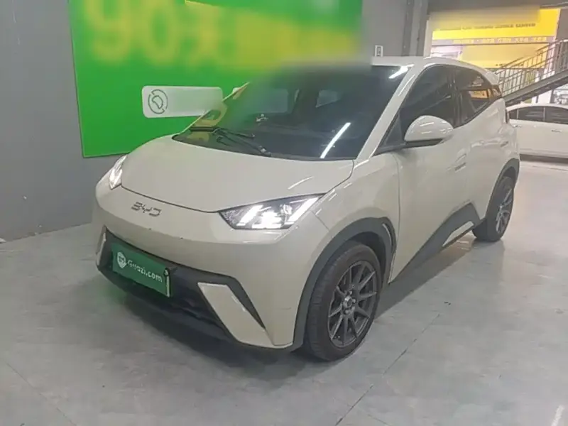 BYD Seagull
