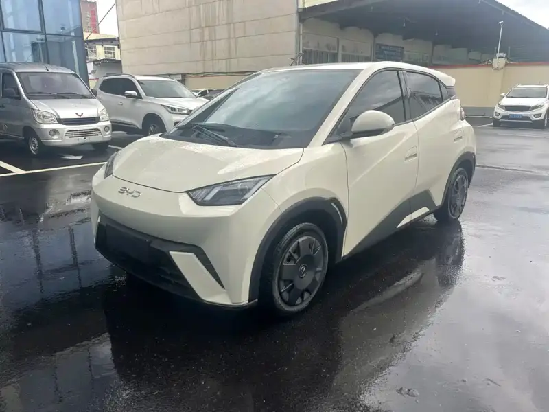 BYD Seagull