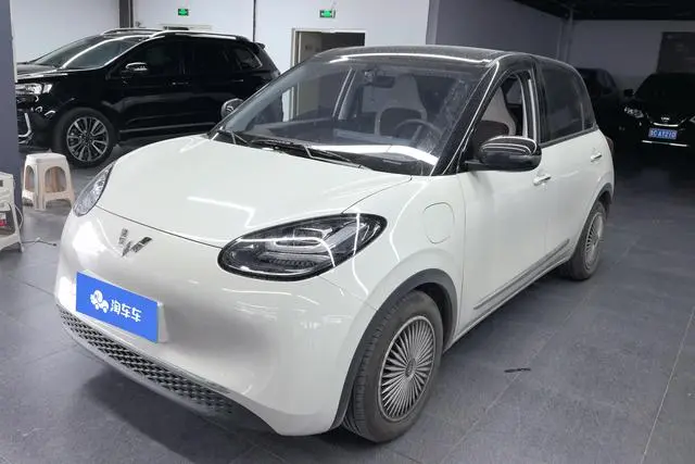 Wuling Bingo