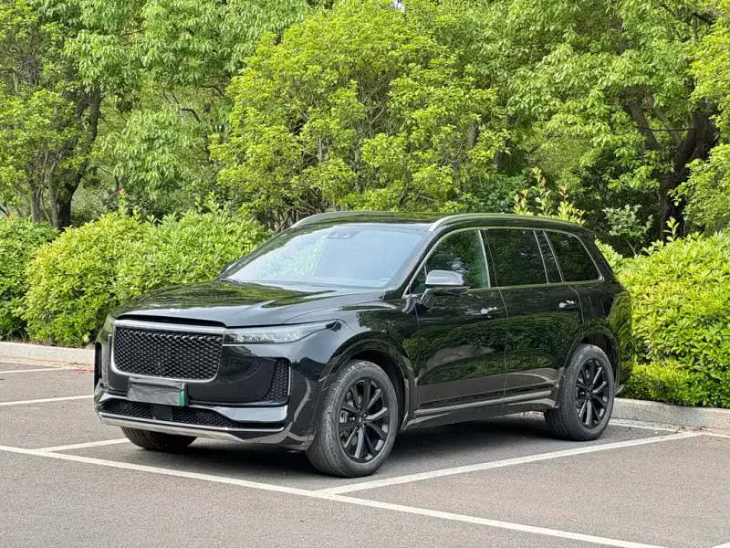 Li Auto ONE