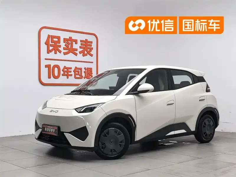 BYD Seagull