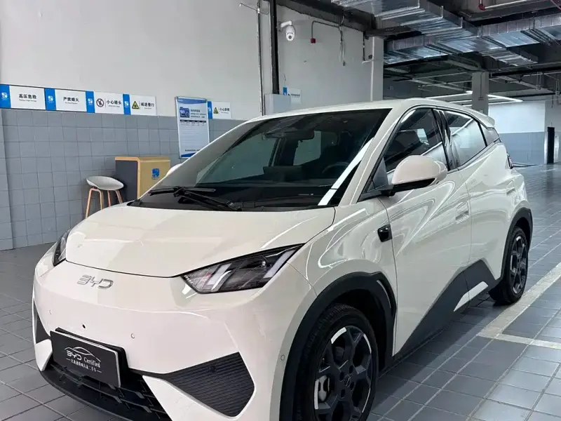 BYD Seagull